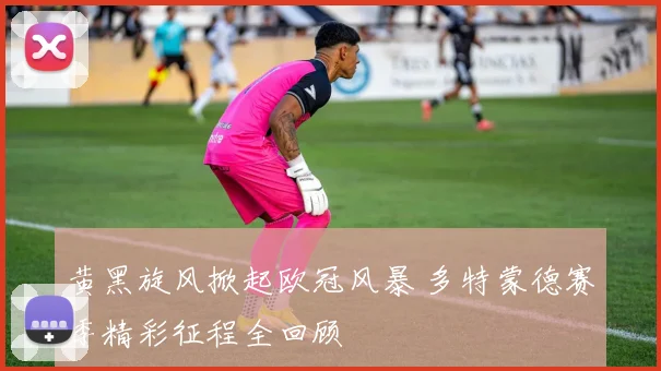 黄黑旋风掀起欧冠风暴 多特蒙德赛季精彩征程全回顾