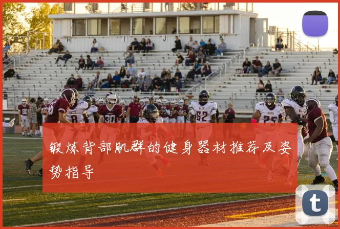 锻炼背部肌群的健身器材推荐及姿势指导