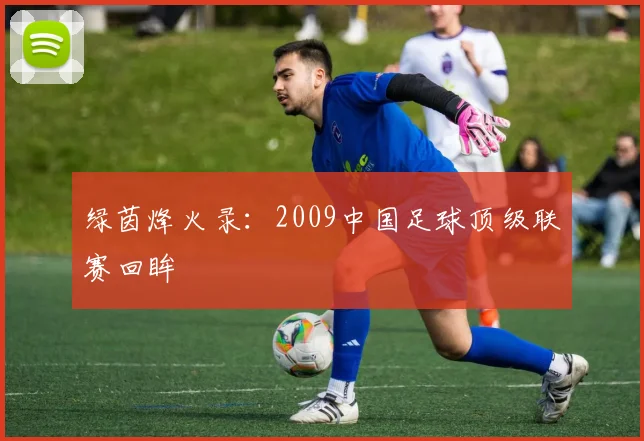 绿茵烽火录:2009中国足球顶级联赛回眸
