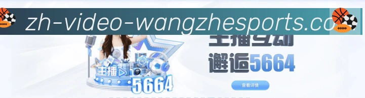 未来规划