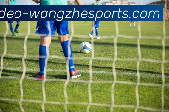 王者体育全站App